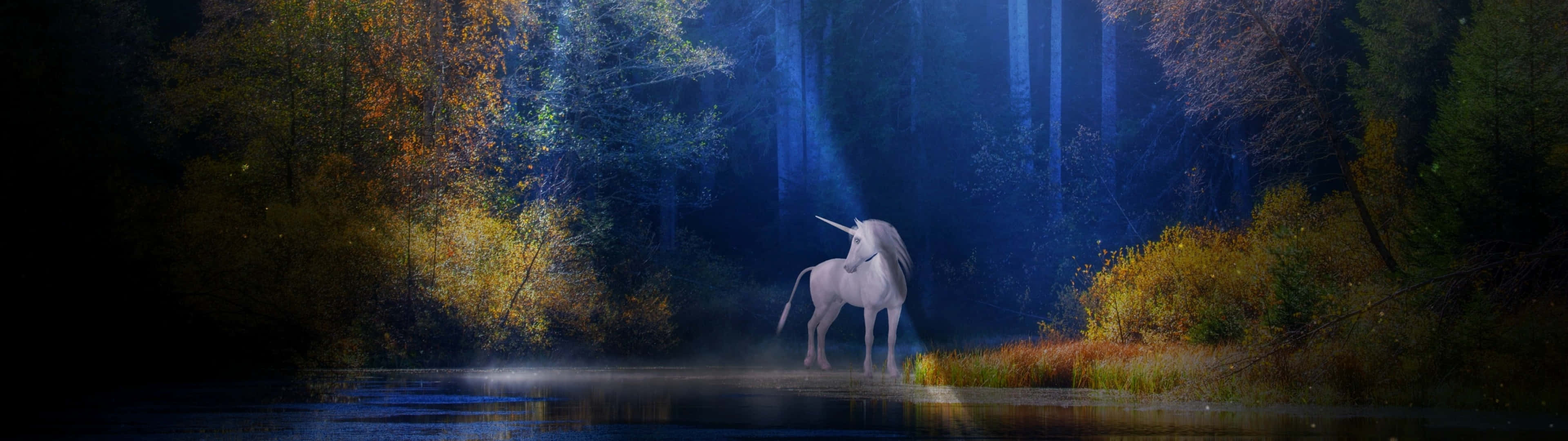 Feel The Magic With This Mystical Unicorn Background