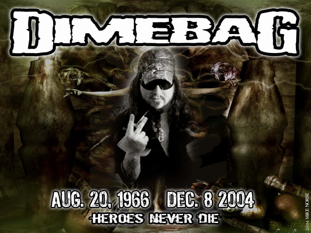 Feel The Power Of Pantera Background