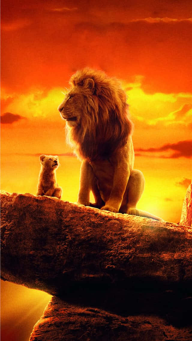 Feel The Pride And Majesty Of The Lion King Background