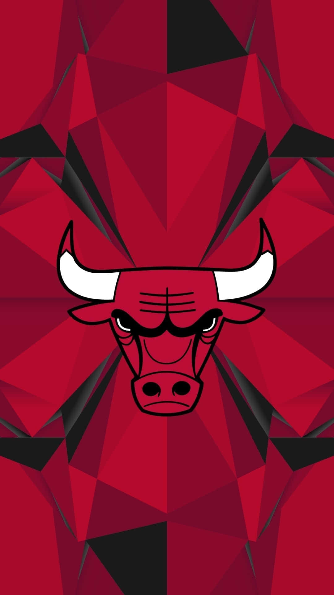 Feel The Pride Of The Chicago Bulls Community Background