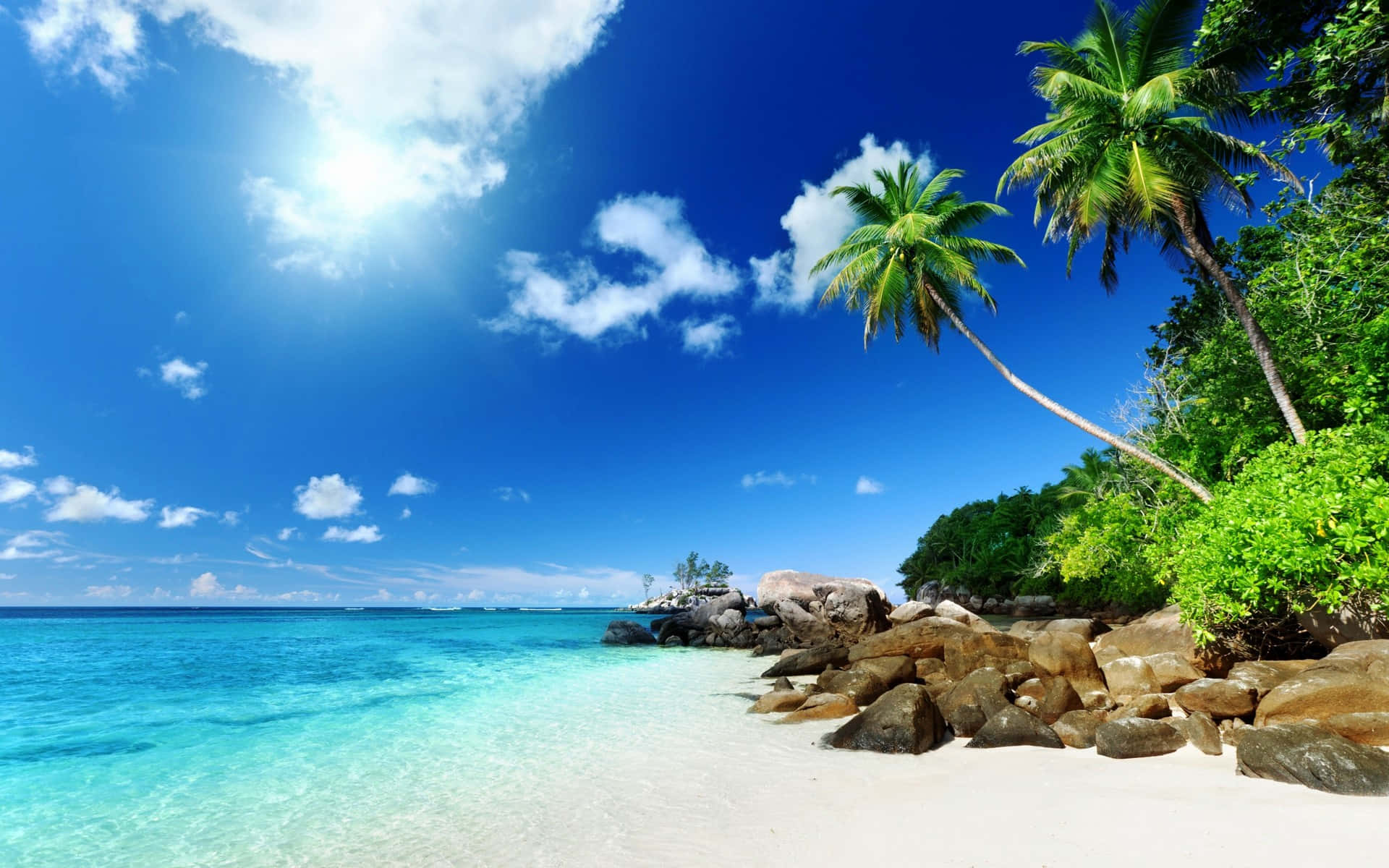 Feel The Tropical Paradise Of A Caribbean Beach Background