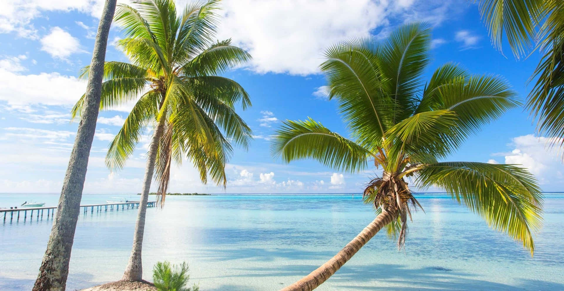 - Feel The Warm Breeze Of The Stunning Bora Bora Background