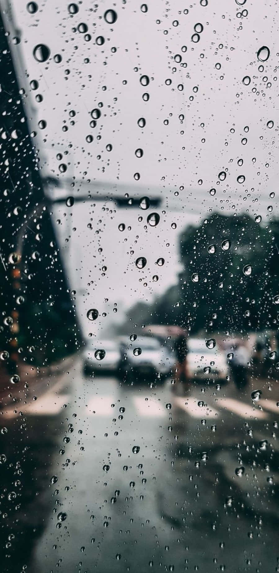 Feeling Lost In The Rain Background