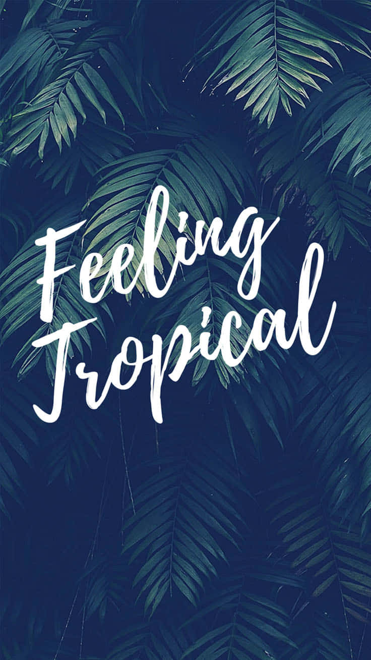 Feeling Tropical Trendy Summer Iphone Background