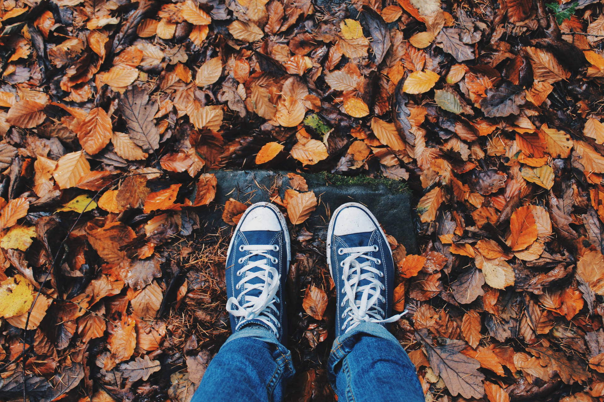 Feet On Pile Of Dried Leaves