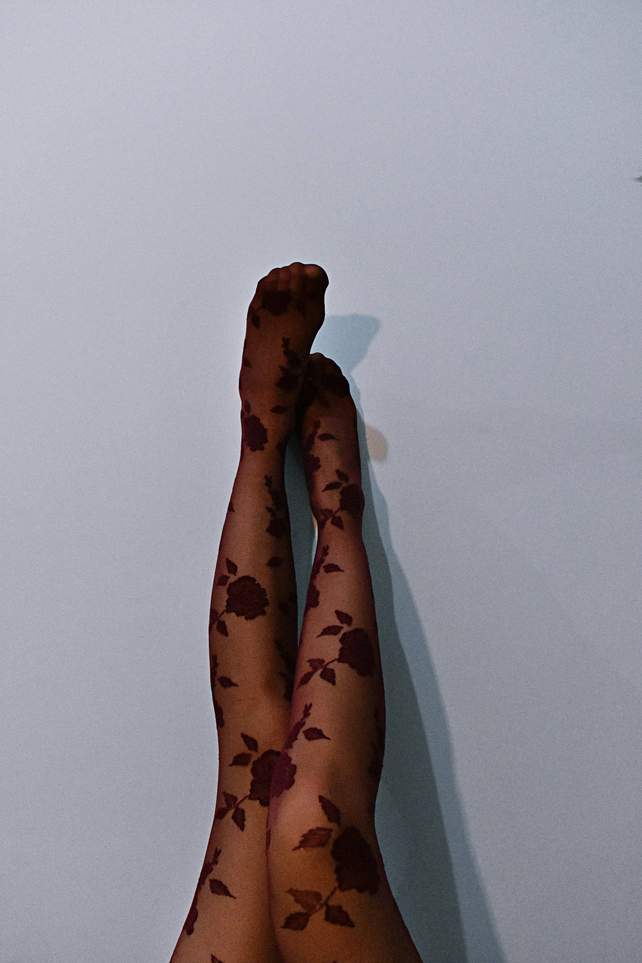 Feet Wearing Black Floral Stockings