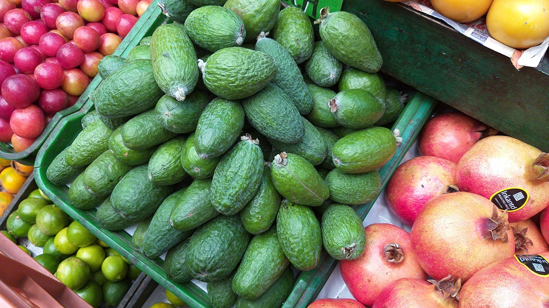 Feijoa A Fruit In Colombia