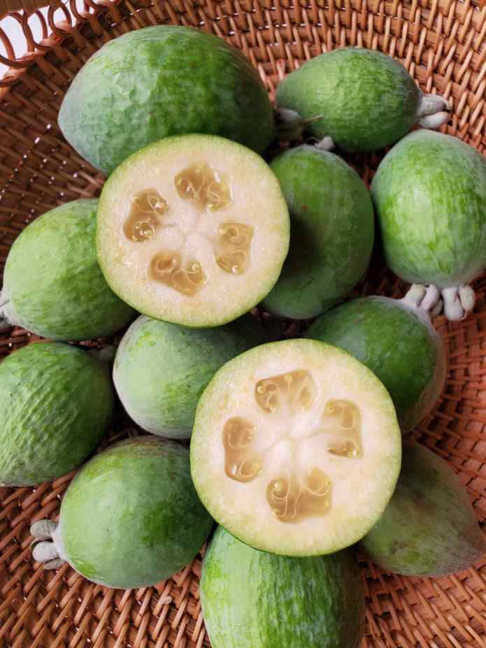 Feijoa Sellowiana In Half