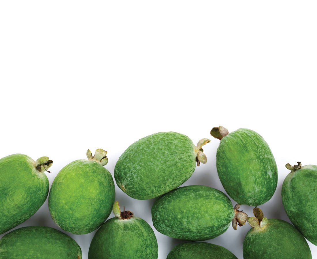 Feijoas In Horizontal Background