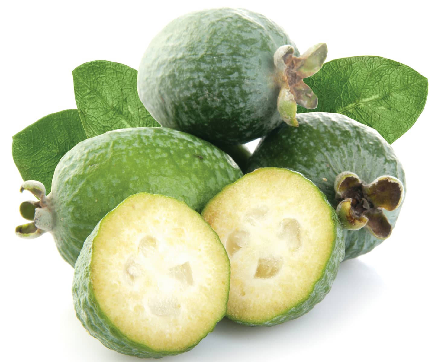 Feijoas' Prime In Autumn