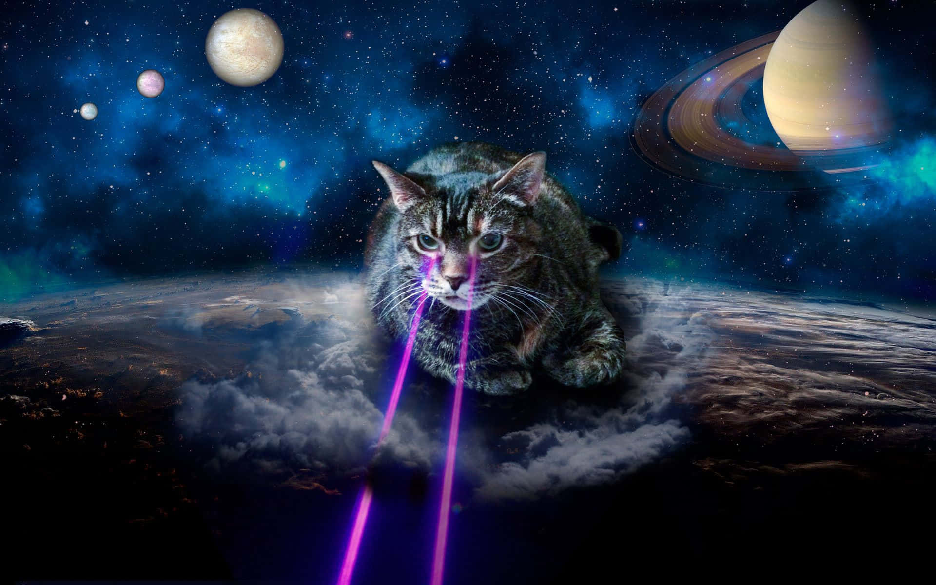 Felines Achieving New Heights With A Bold Astronomical Adventure Background