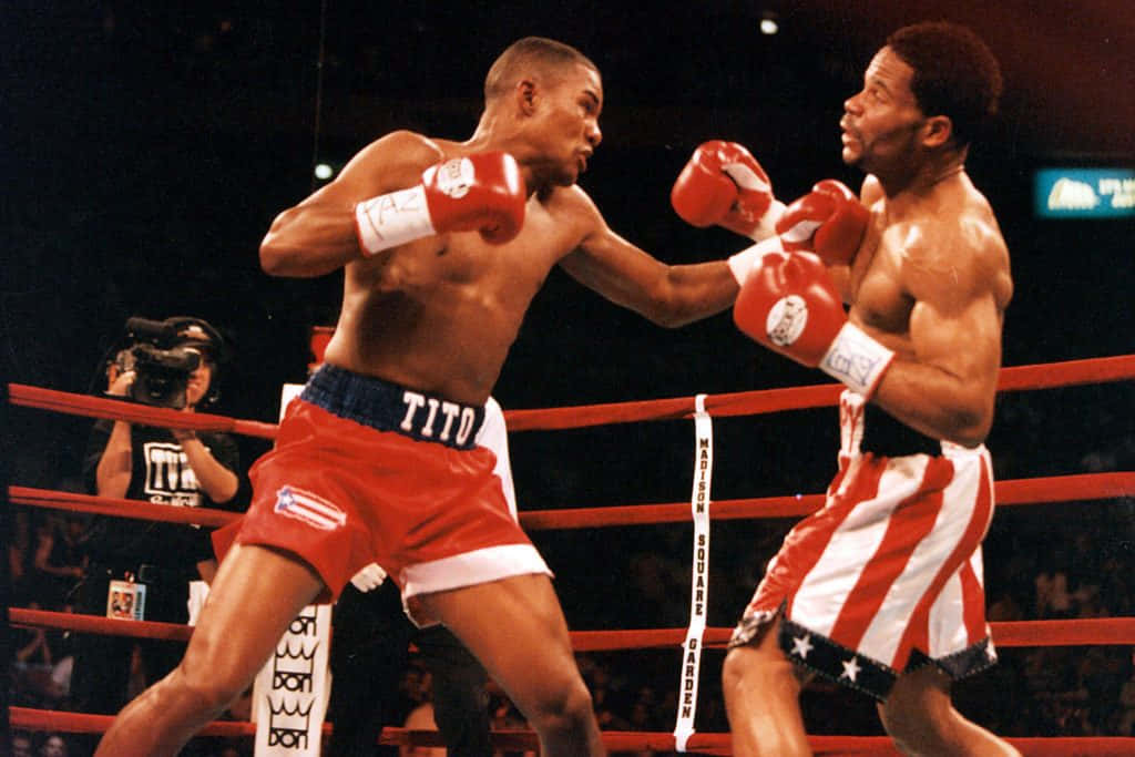 Felix Trinidad In Red Boxing Gloves