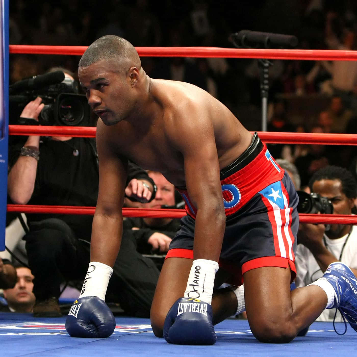Felix Trinidad Is On His Knees Background