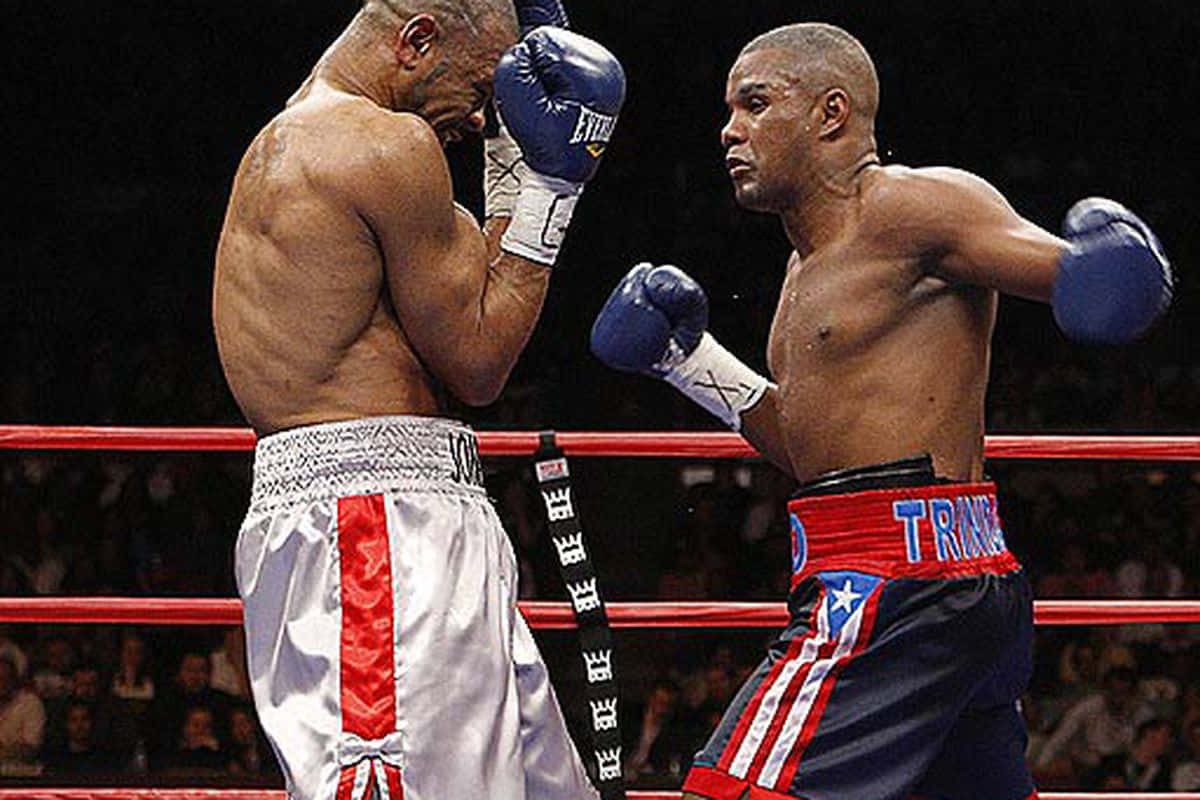 Felix Trinidad On His Dark Blue Bocing Gloves Background