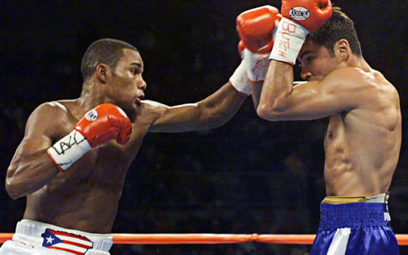 Felix Trinidad Punching The Other Player Background