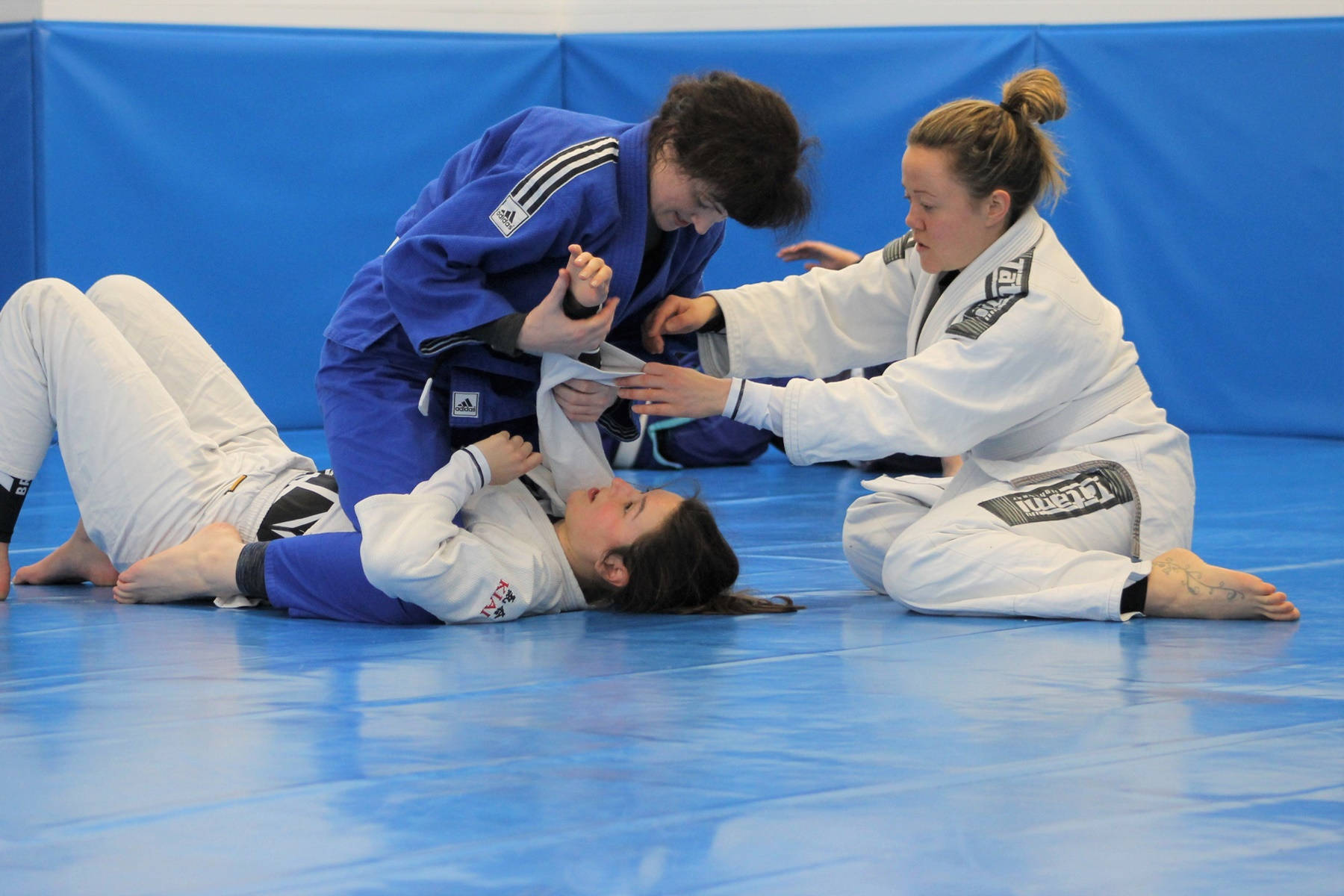 Female Athletes Training Brazilian Jiu-jitsu Background