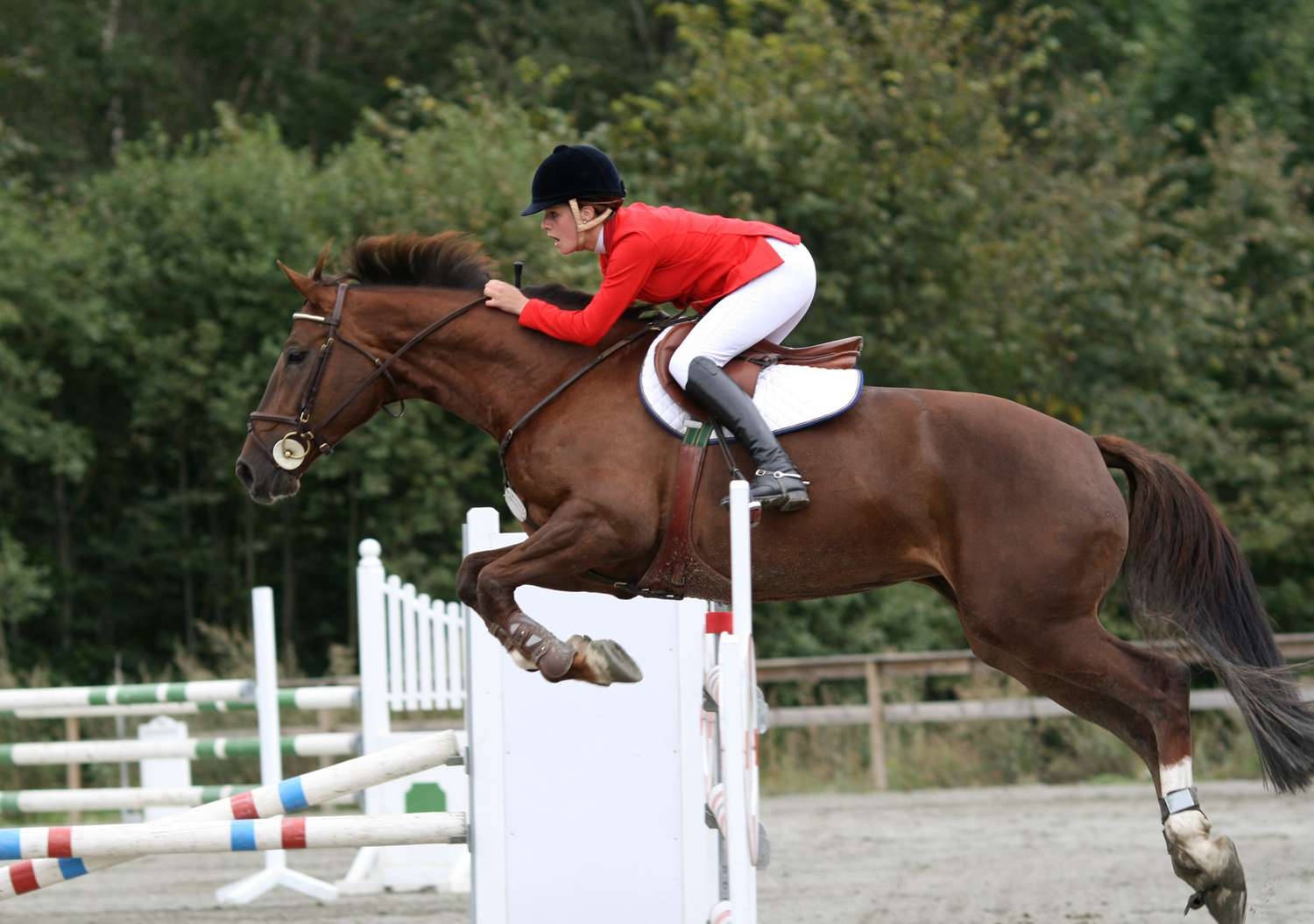 Female Equestrian Horse Jumping Competition Background