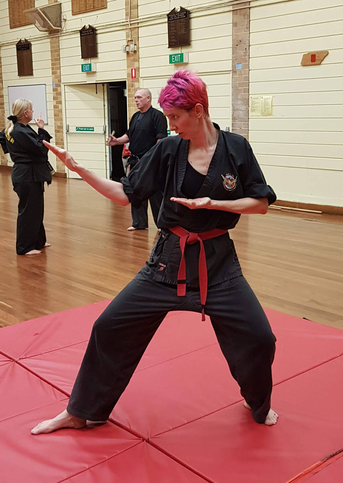 Female Martial Artist In Dynamic Hapkido Fighting Stance Background