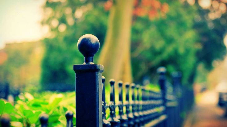 Fence Focus Hd Photography Background