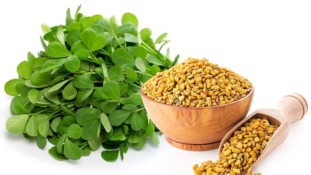 Fenugreek Seeds And Plants Background