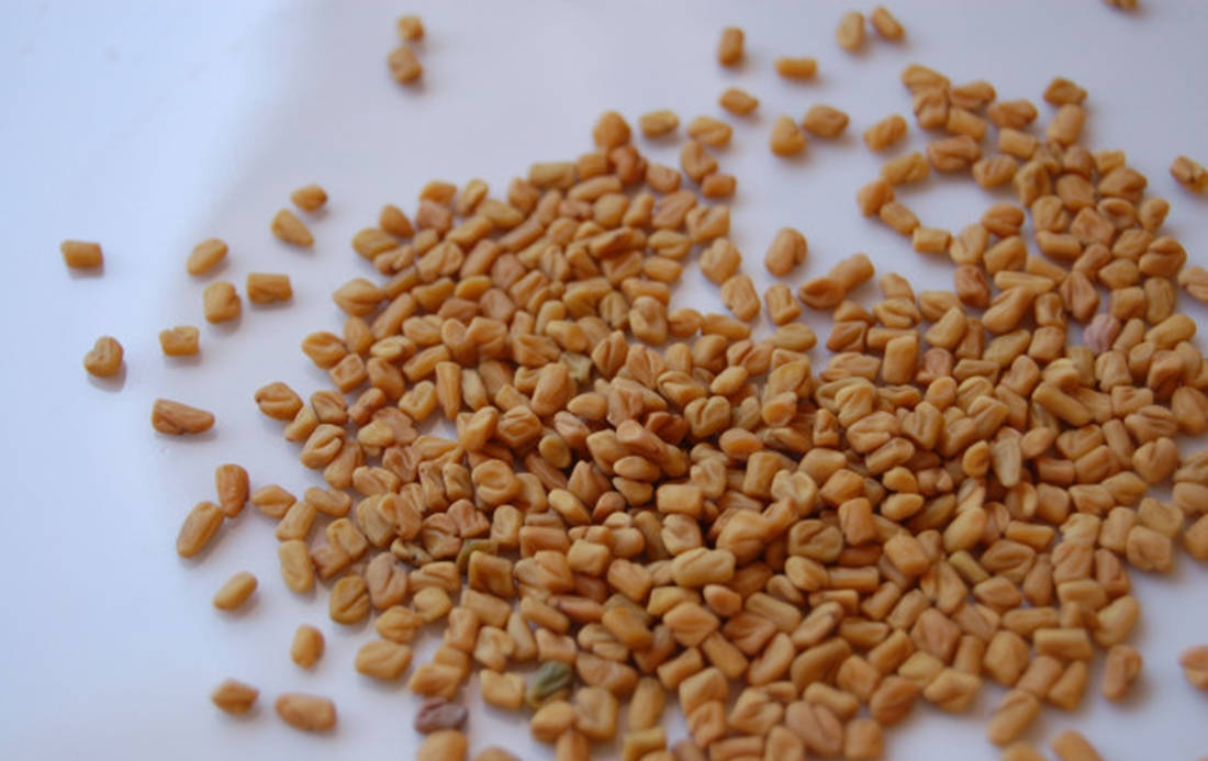 Fenugreek Seeds On A White Plate Background