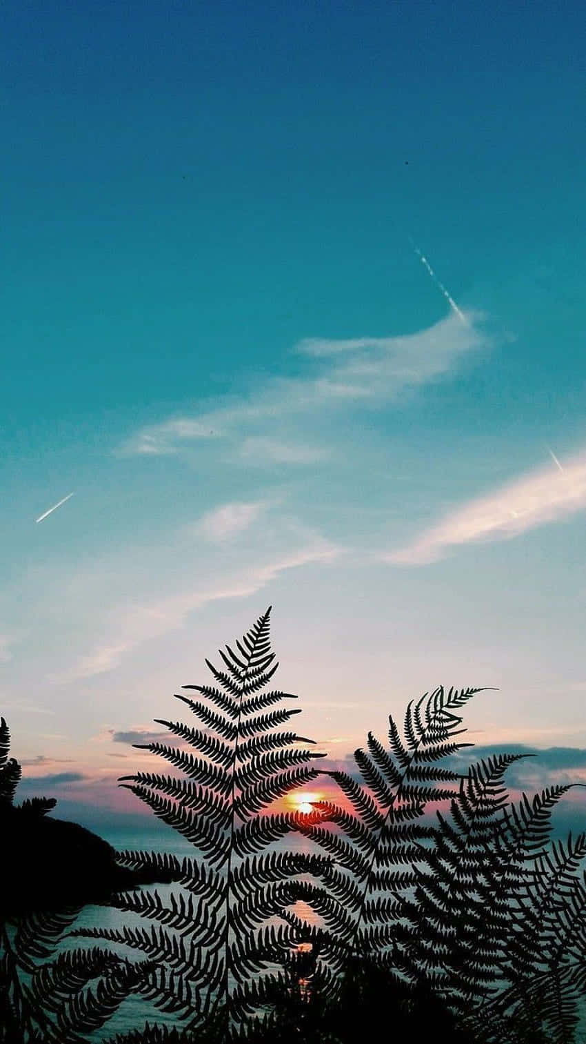 Fern Leaves In The Water Background