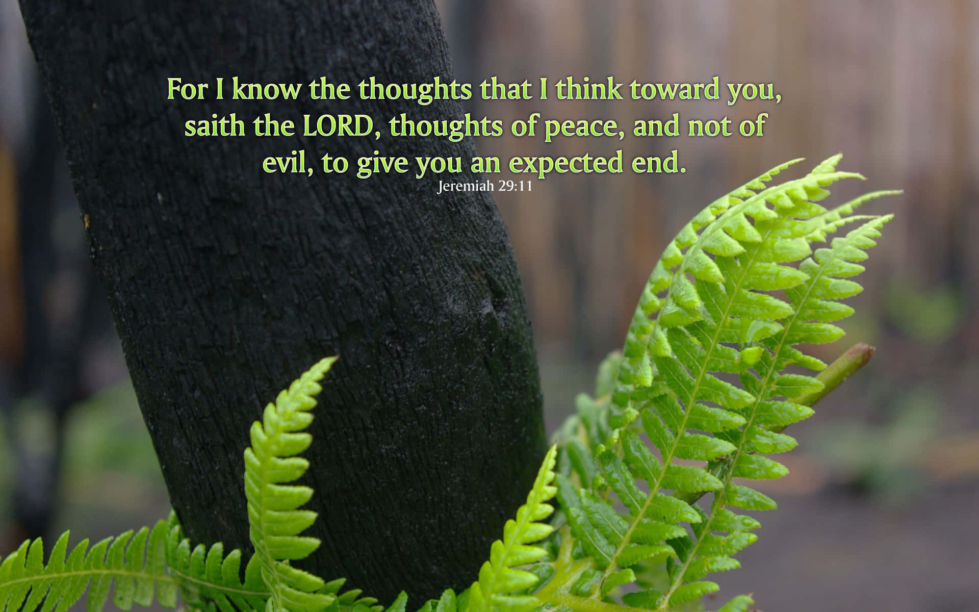 Fern Leaves With The Words, I Know The Thoughts That I Think Upon Background