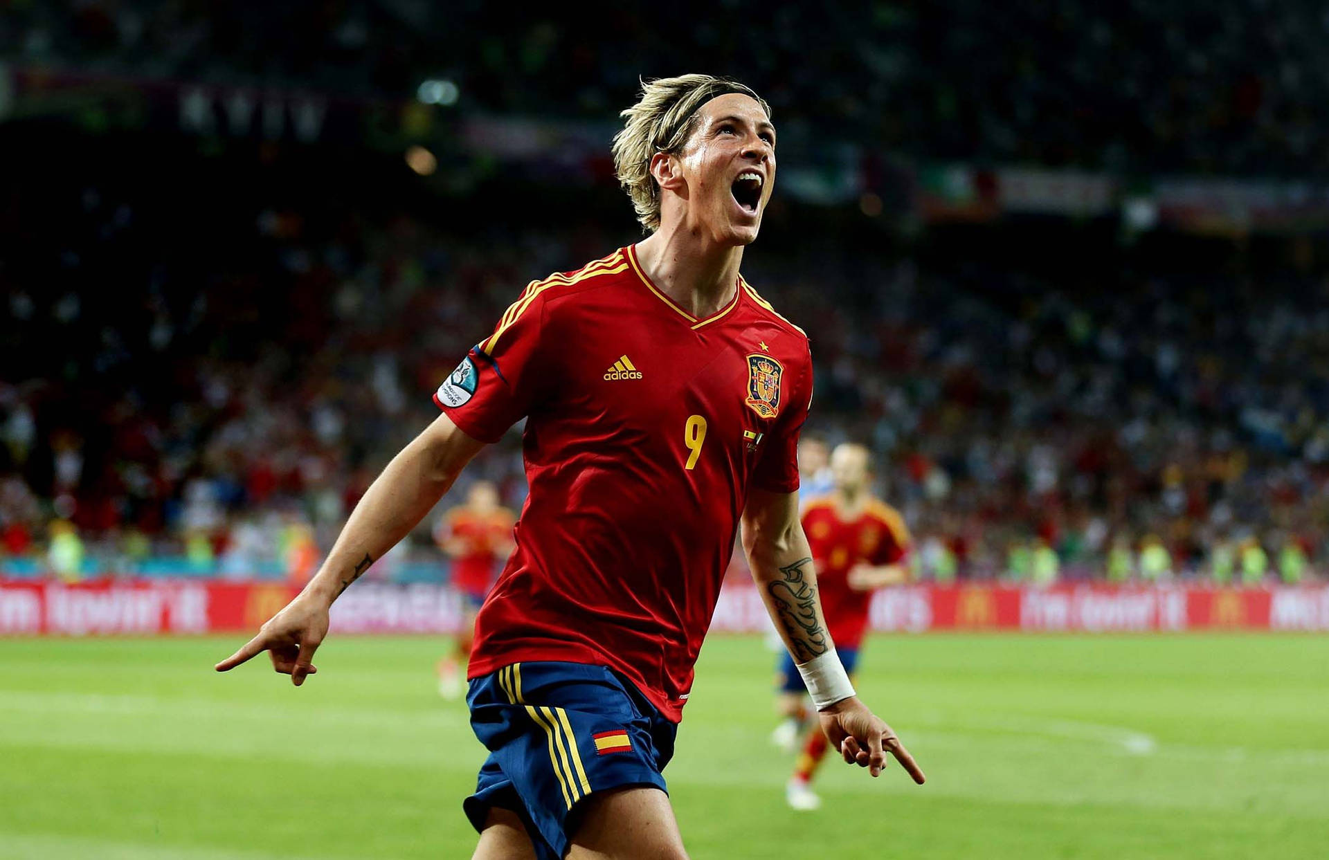 Fernando Torres In A Bright Field Background