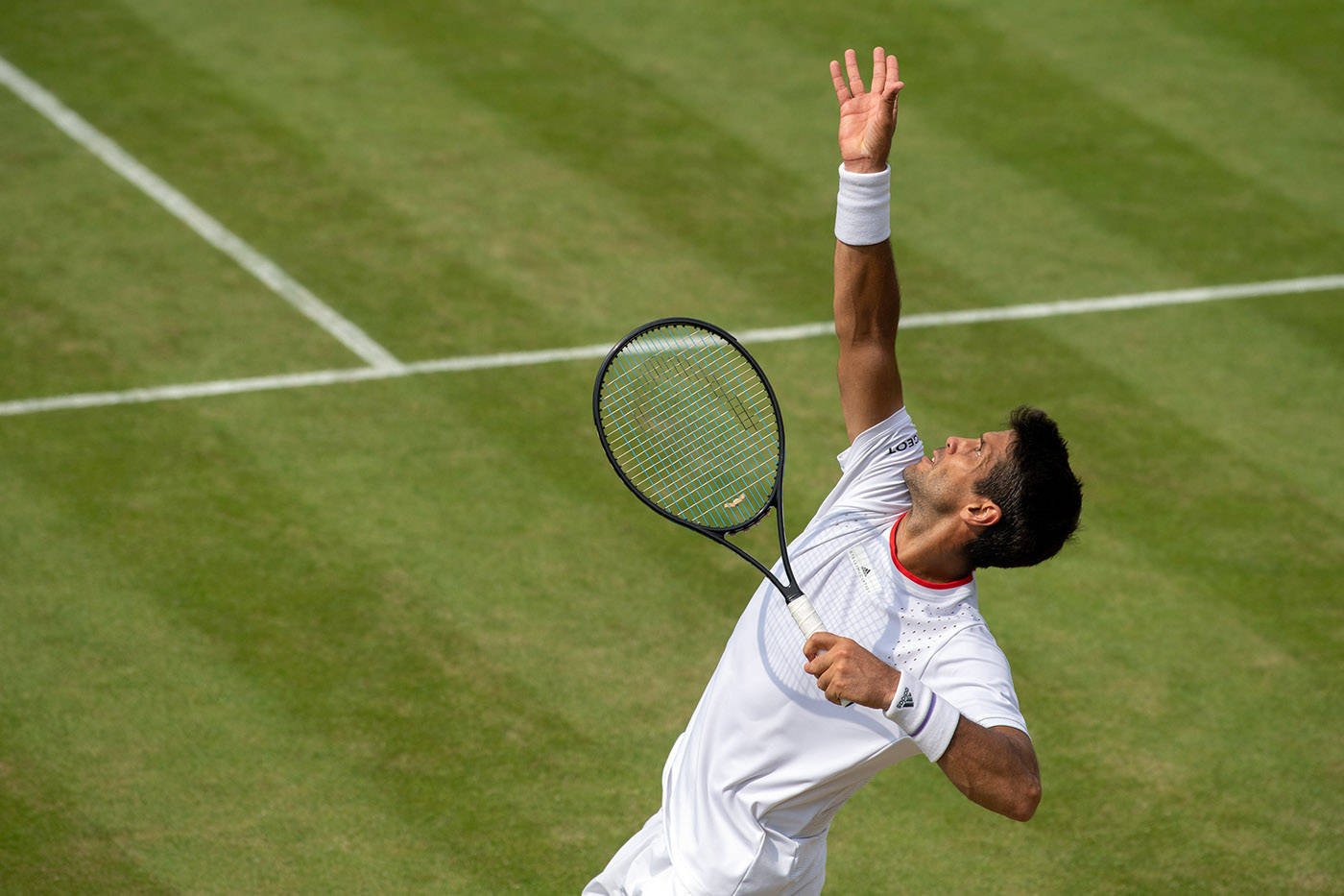 Fernando Verdasco At Wimbledon Background