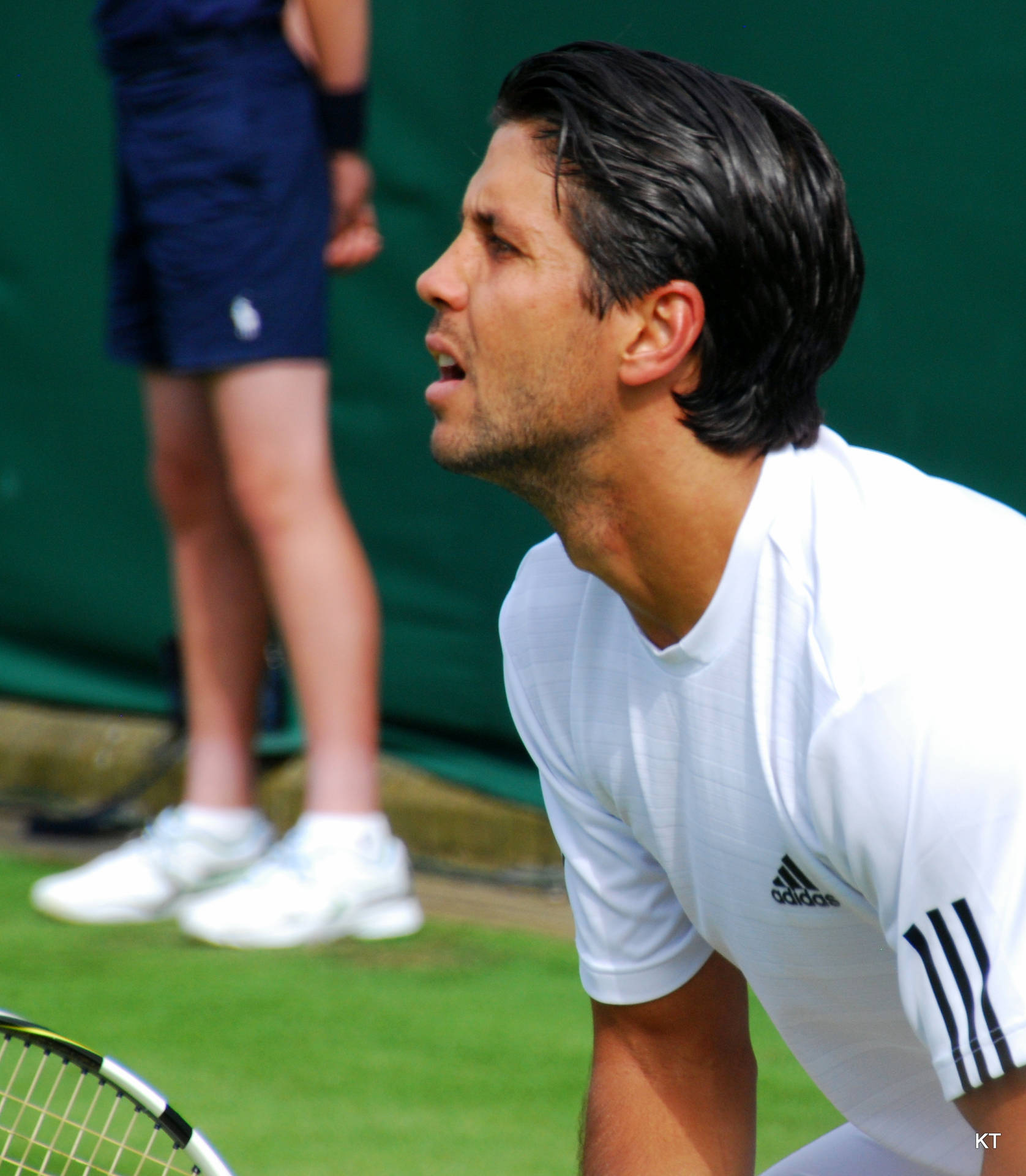 Fernando Verdasco Closeup Background