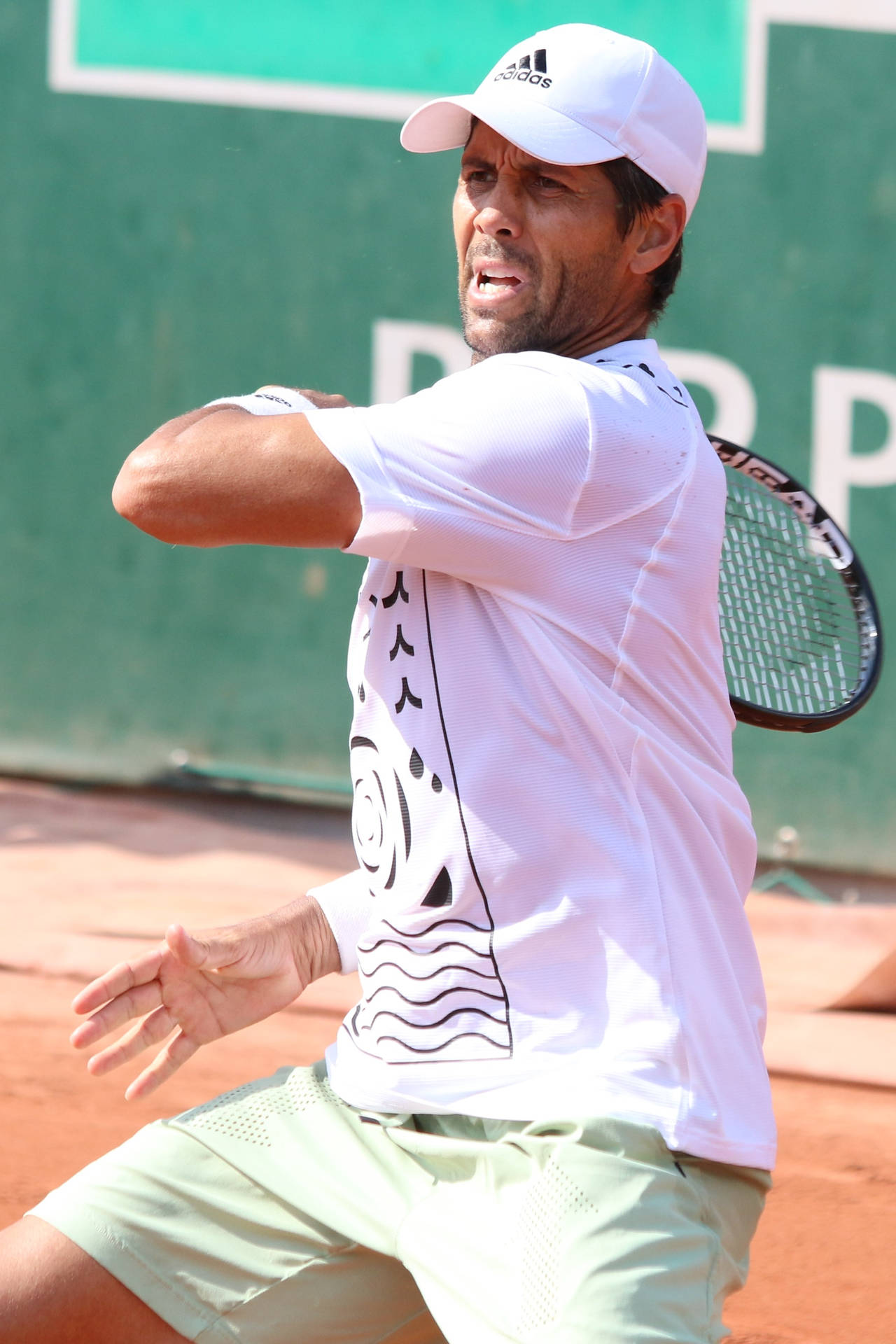 Fernando Verdasco Drawn Back