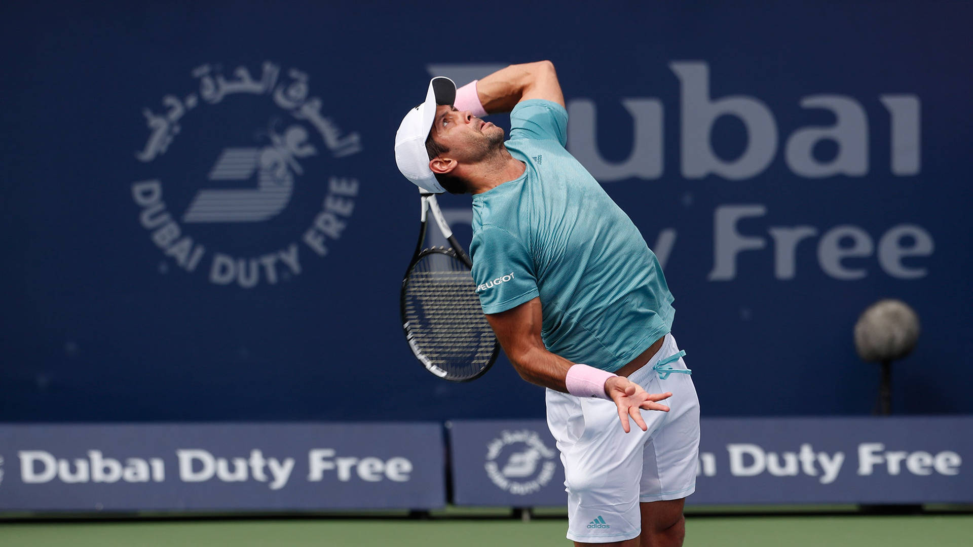 Fernando Verdasco Looking Up Background