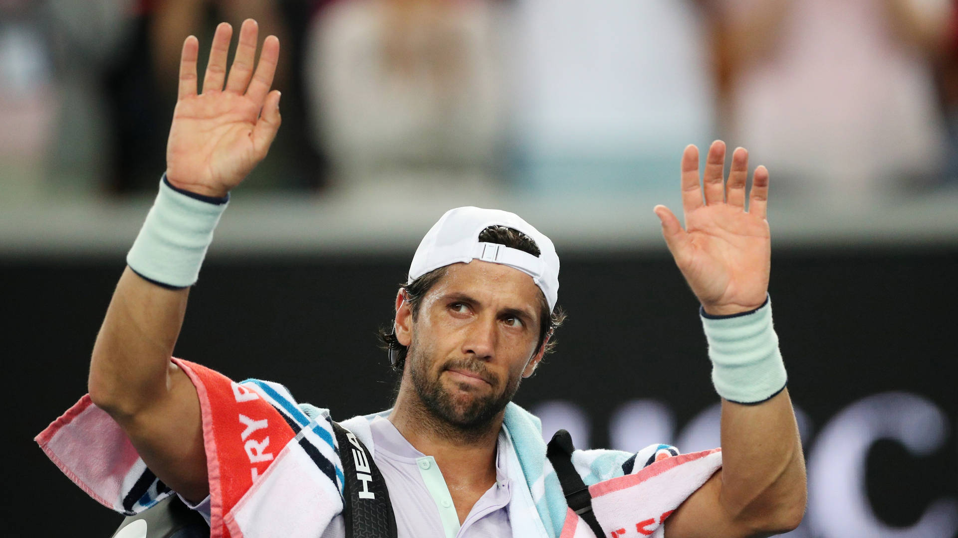 Fernando Verdasco Raising Hands Background