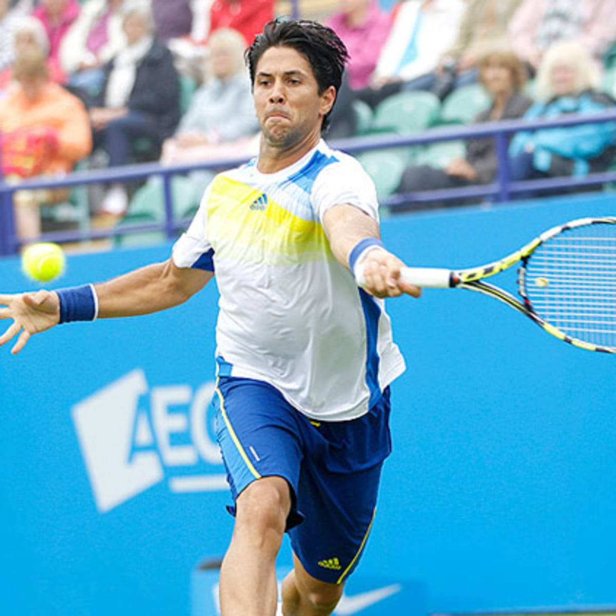 Fernando Verdasco Shaven Background