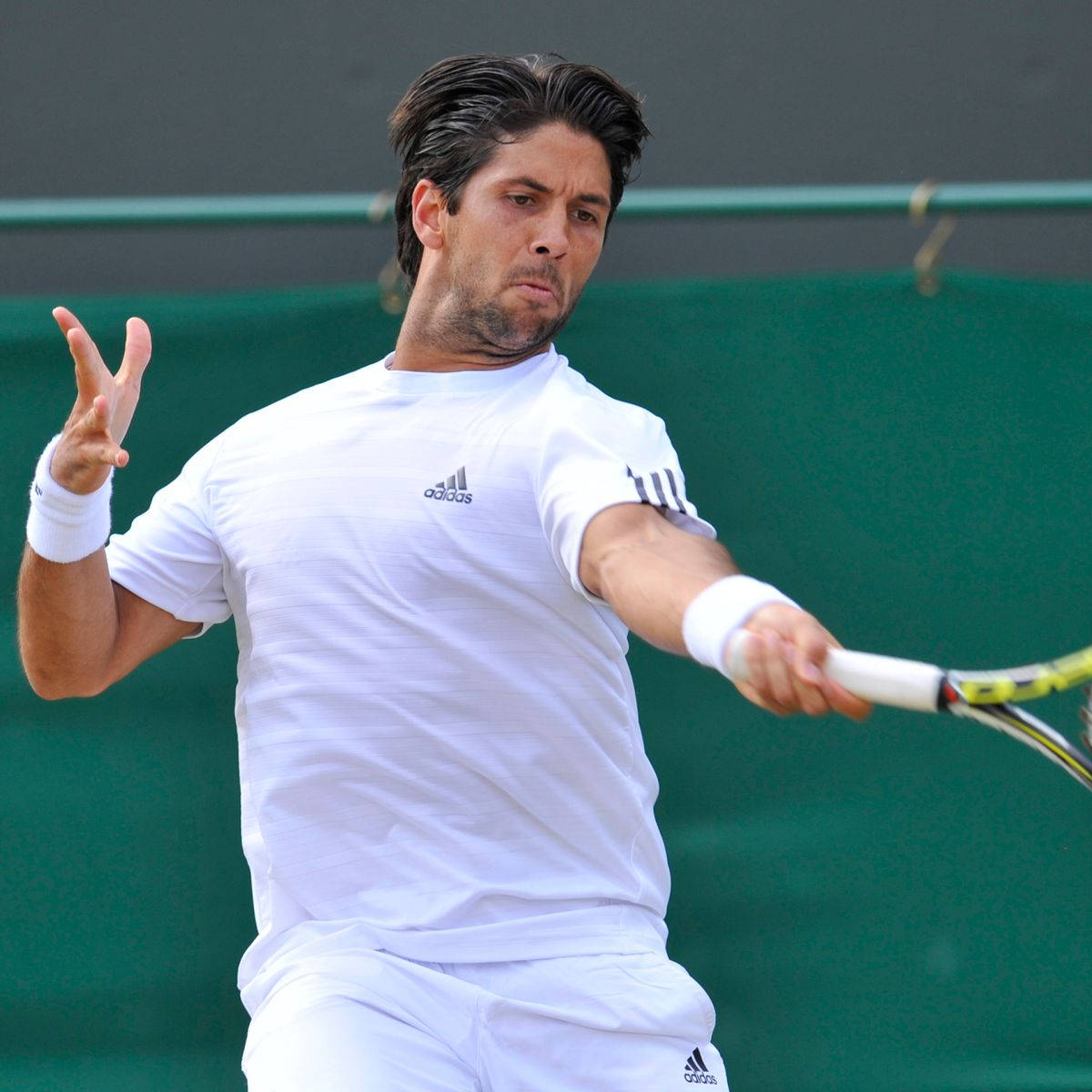 Fernando Verdasco With Adidas Background