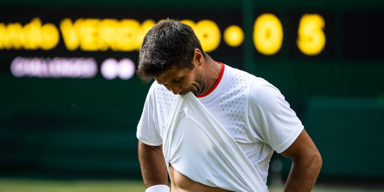 Fernando Verdasco With Shirt Up Background