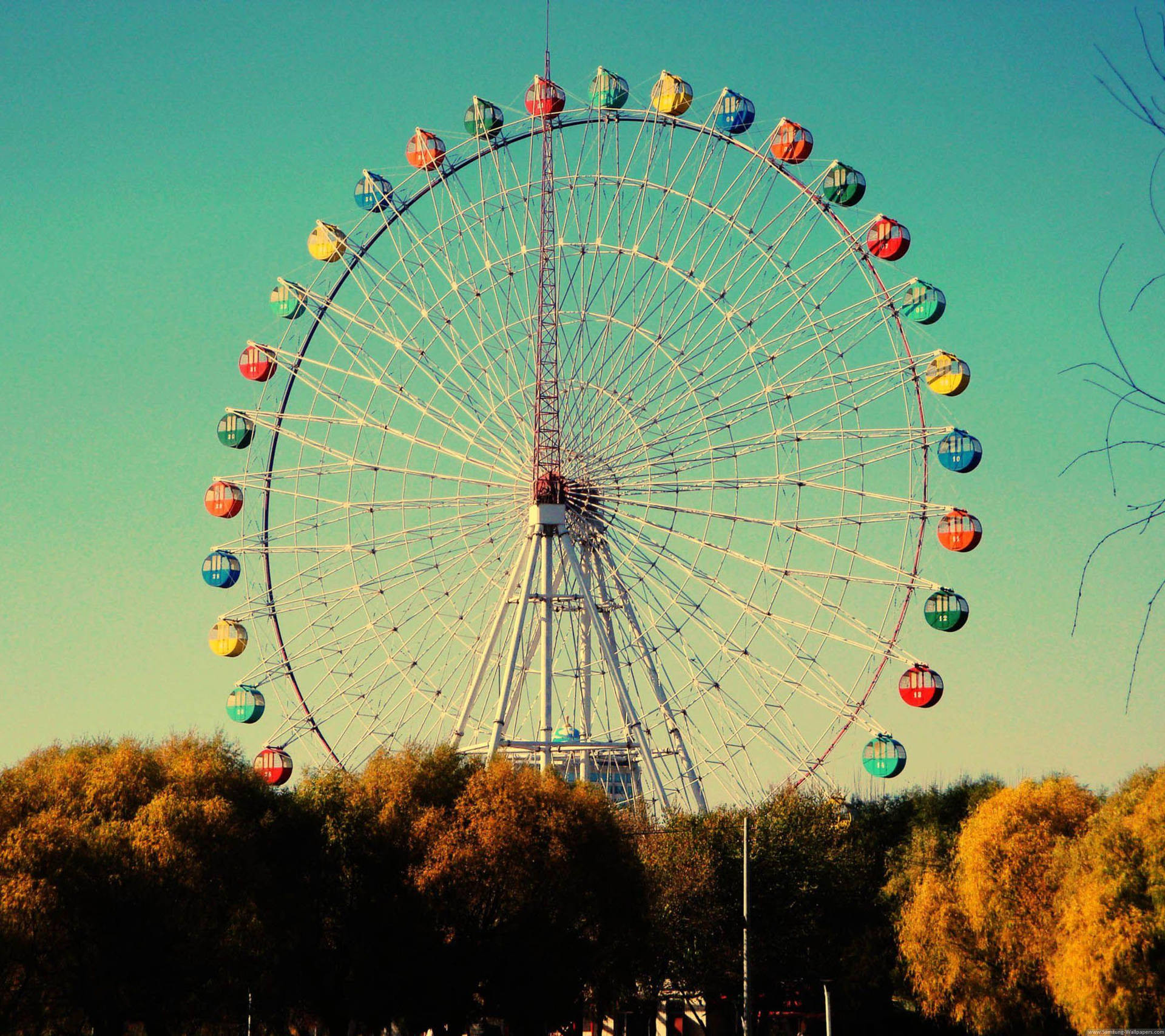 Ferris Wheel And Brown Leaf Trees Background