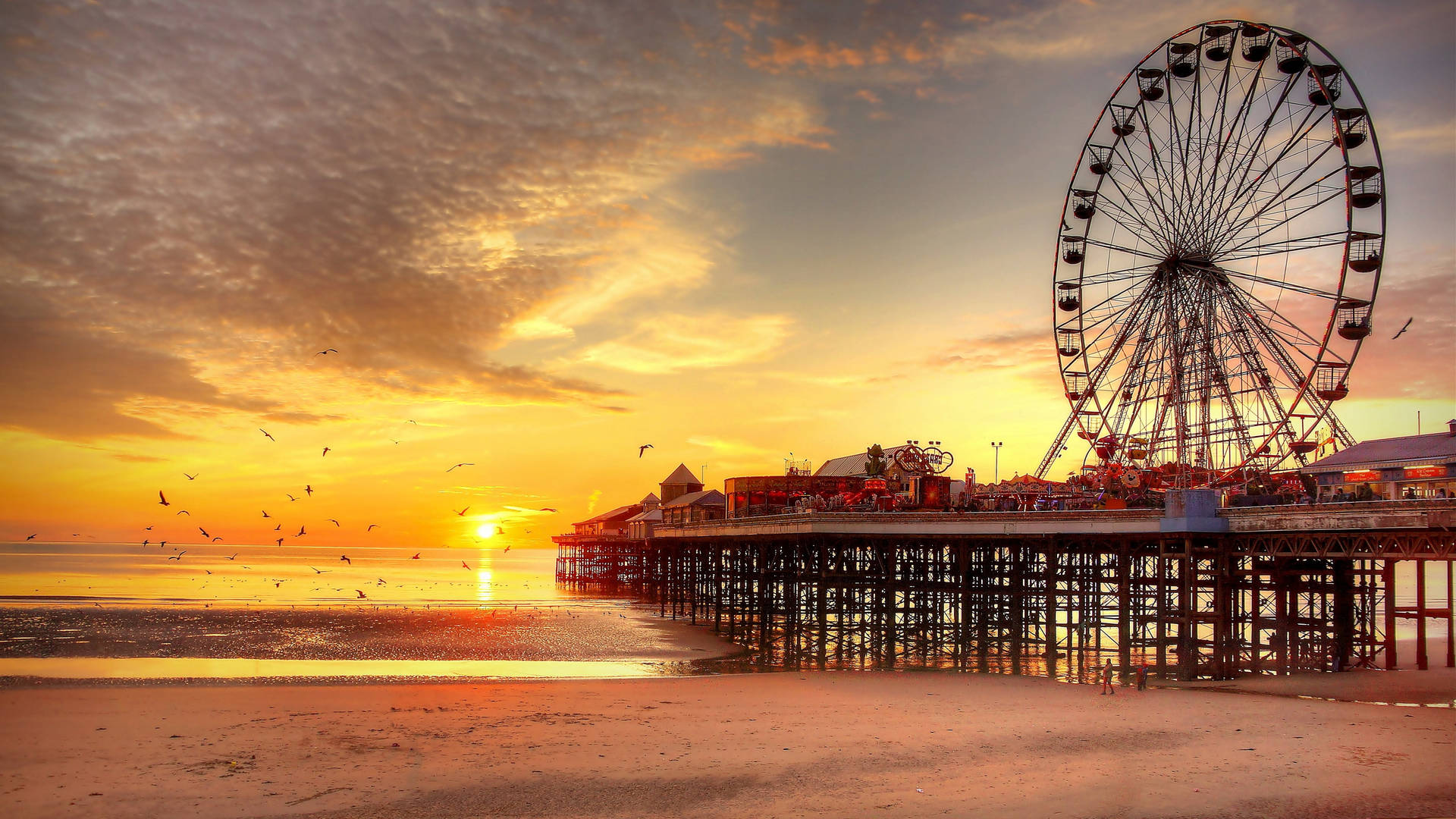 Ferris Wheel By The Beach Background