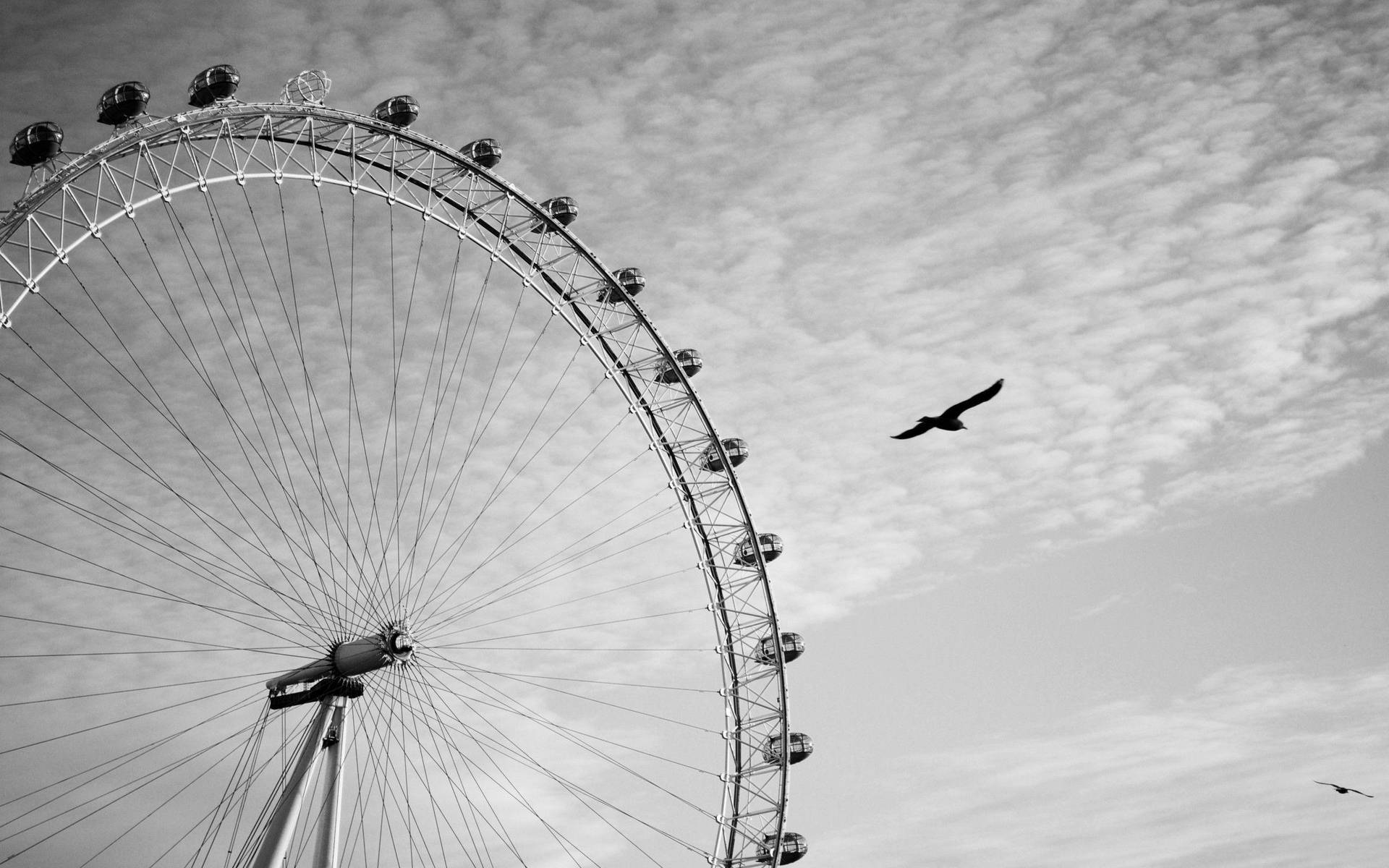 Ferris Wheel With Flying Bird Grayscale Background