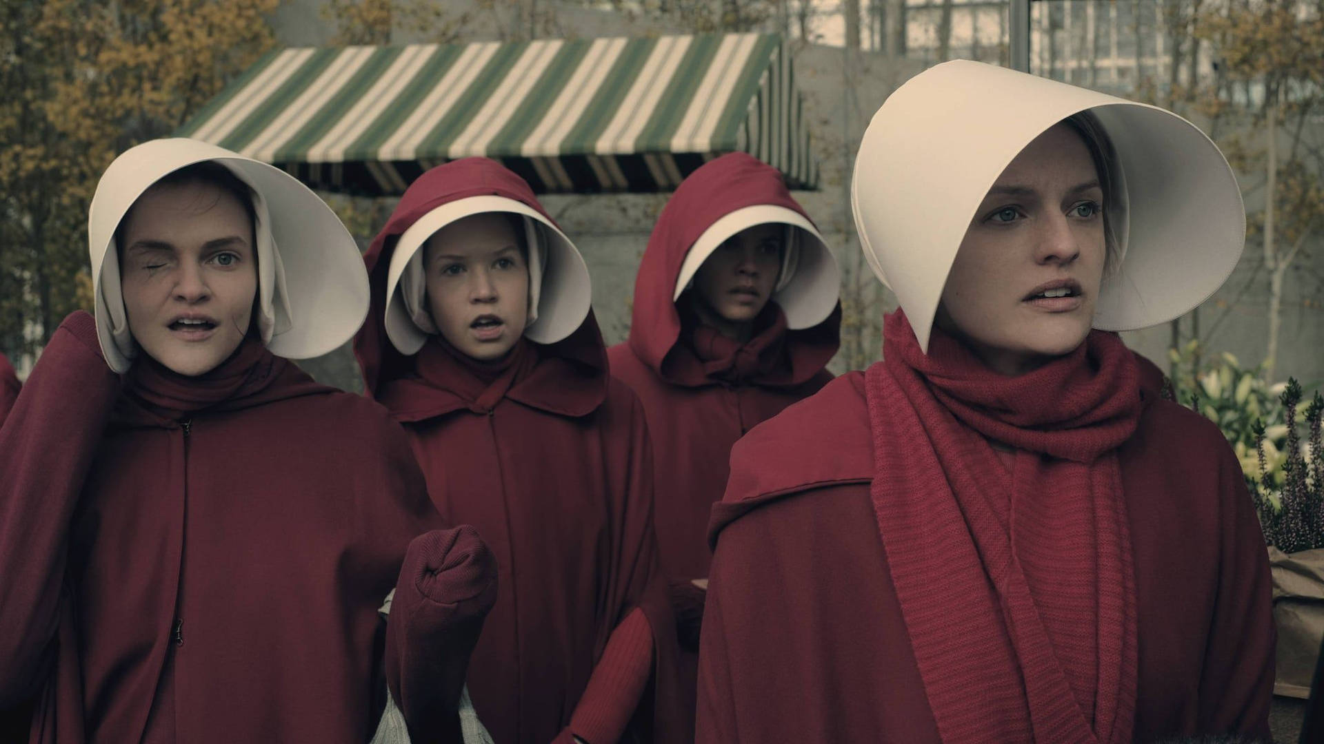 Fertility Of The Handmaid's Tale