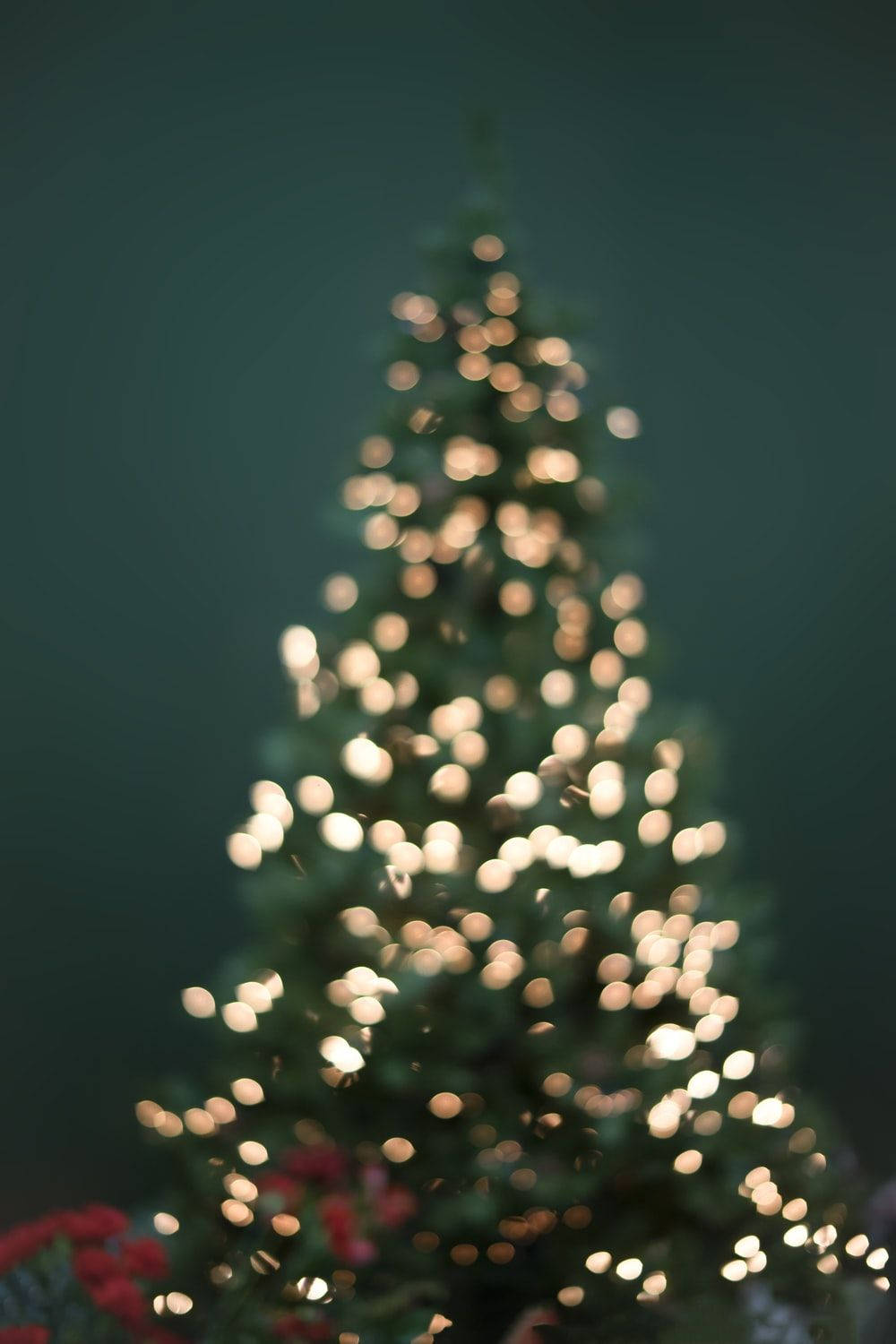 Festive Christmas Lights On Christmas Tree Bokeh Shot Background