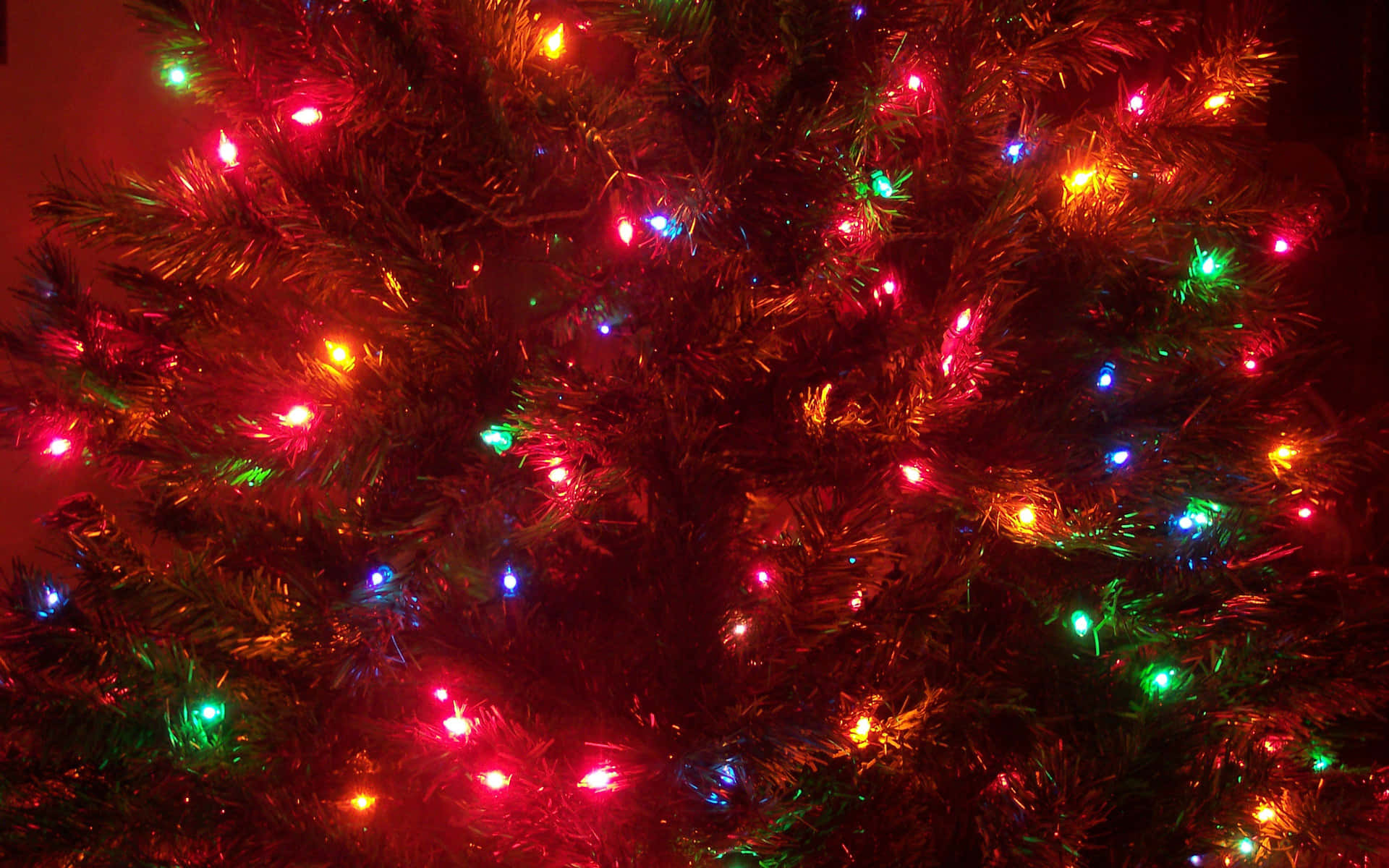 Festive_ Christmas_ Tree_ Lights.jpg Background