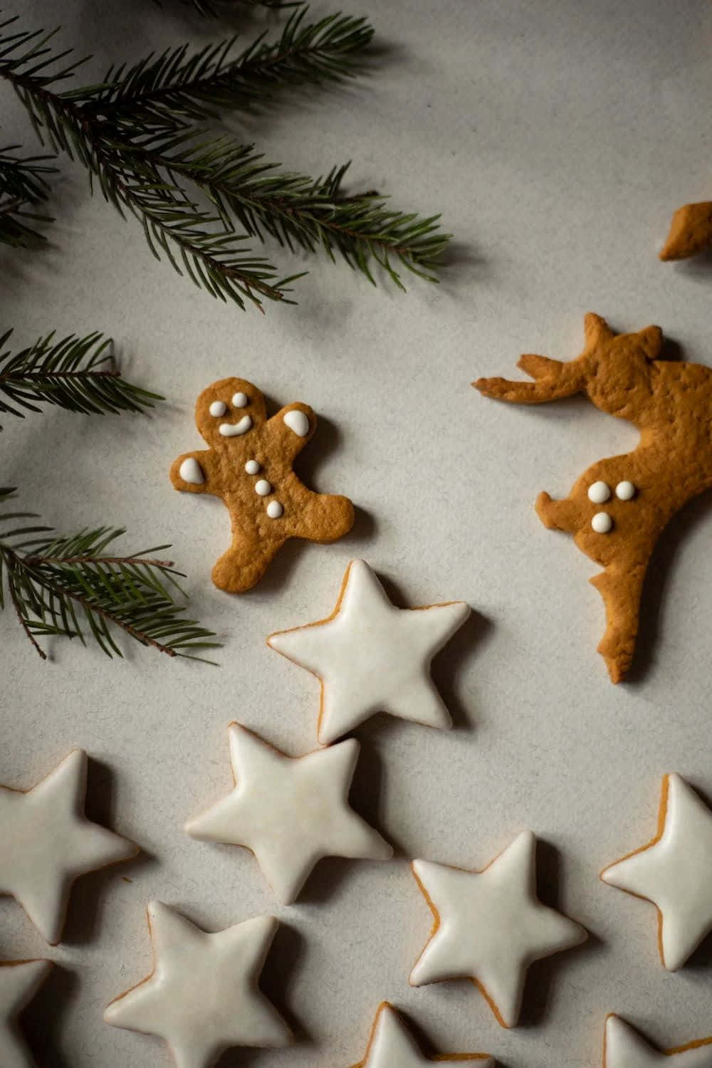 Festive Gingerbreadand Star Cookies