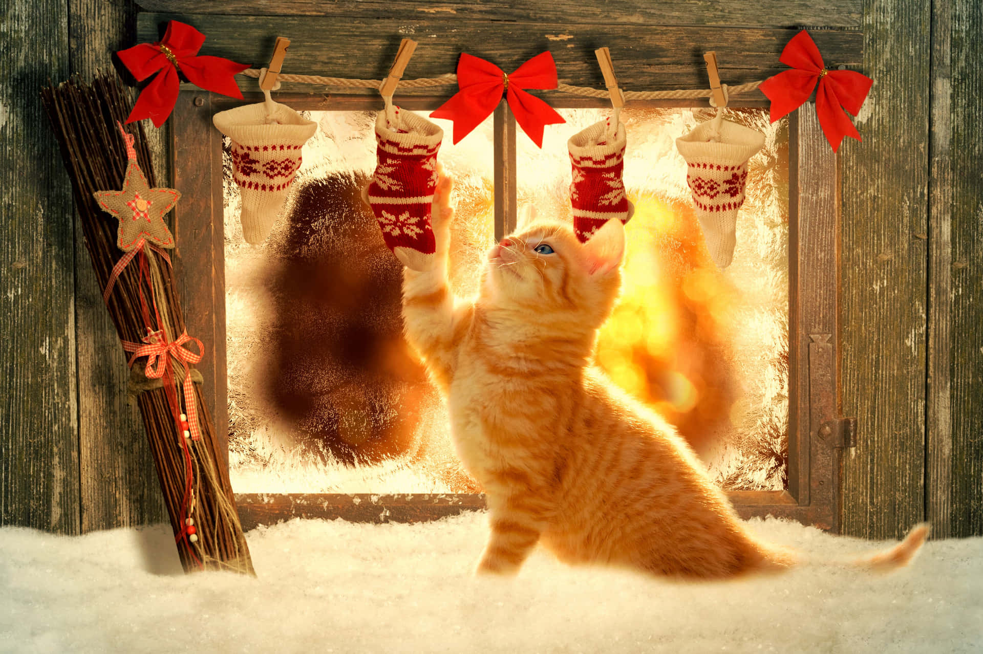 Festive Kitten Christmas Stockings Winter Scene.jpg