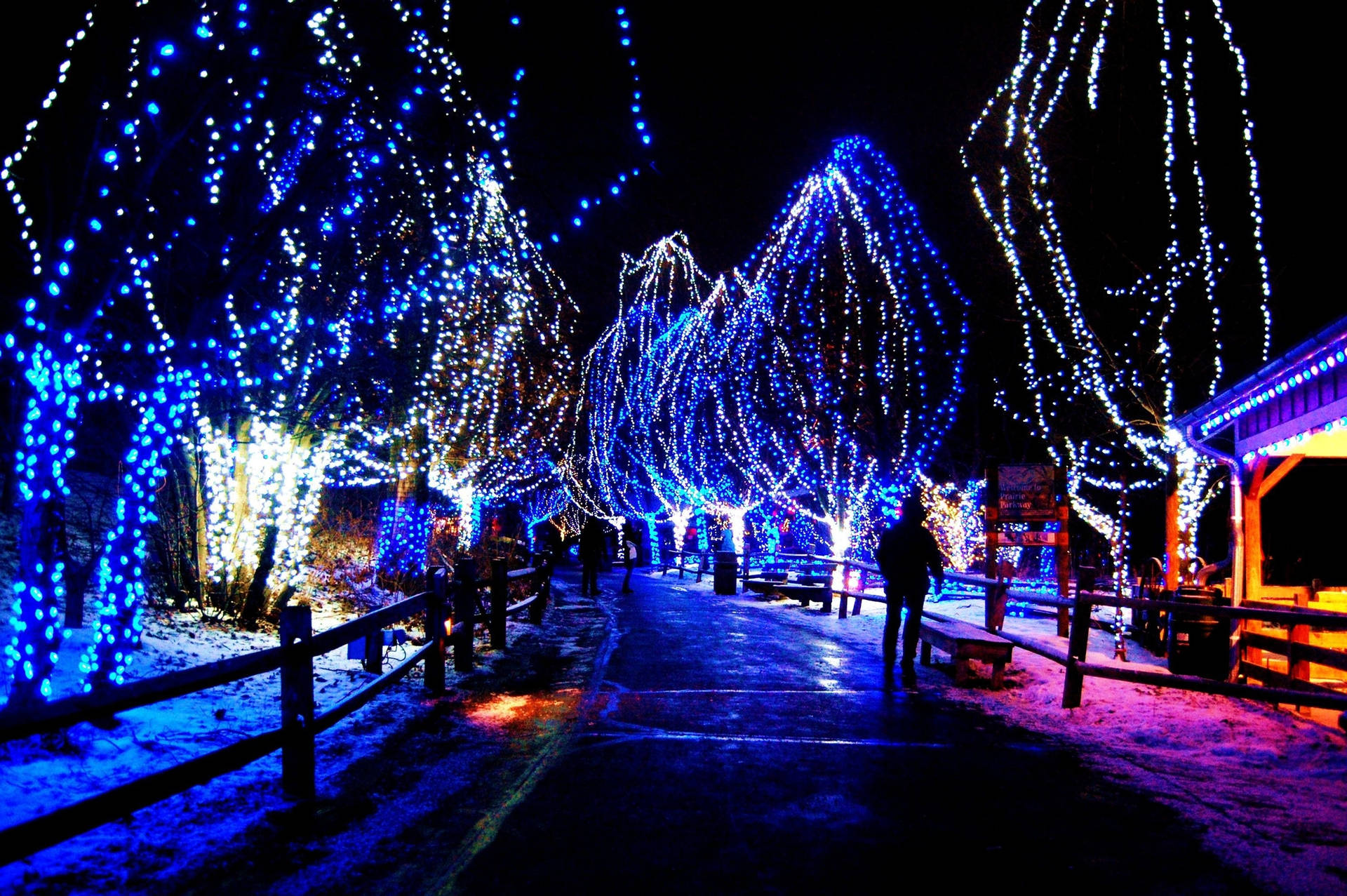 Festive Season Christmas Lights Wide Shot Background