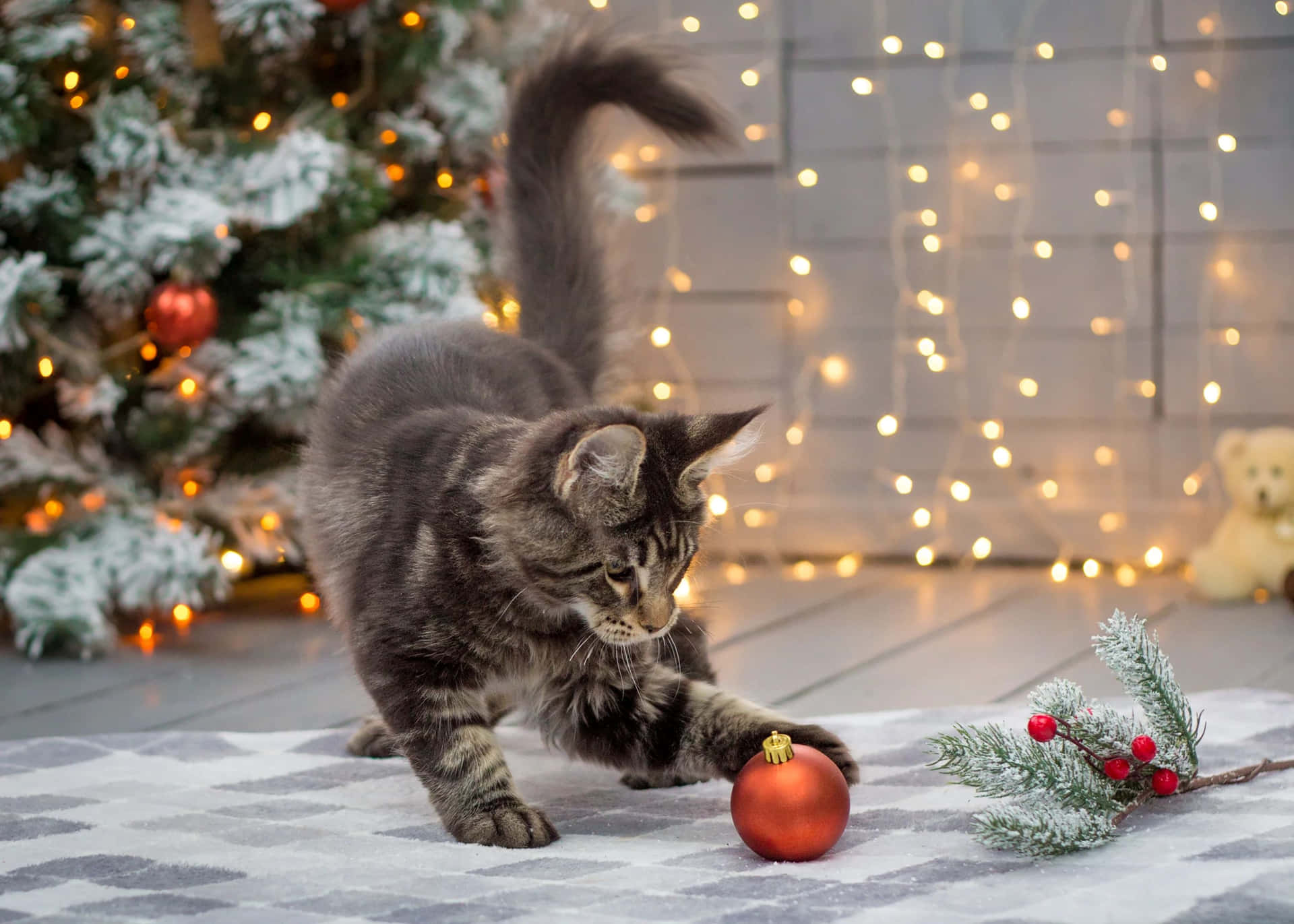 Festive Tabby Cat With Christmas Ornament Background