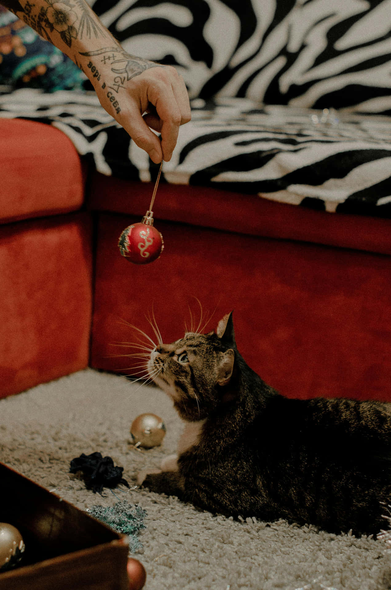 Festive Tabby Cat With Christmas Ornament Background