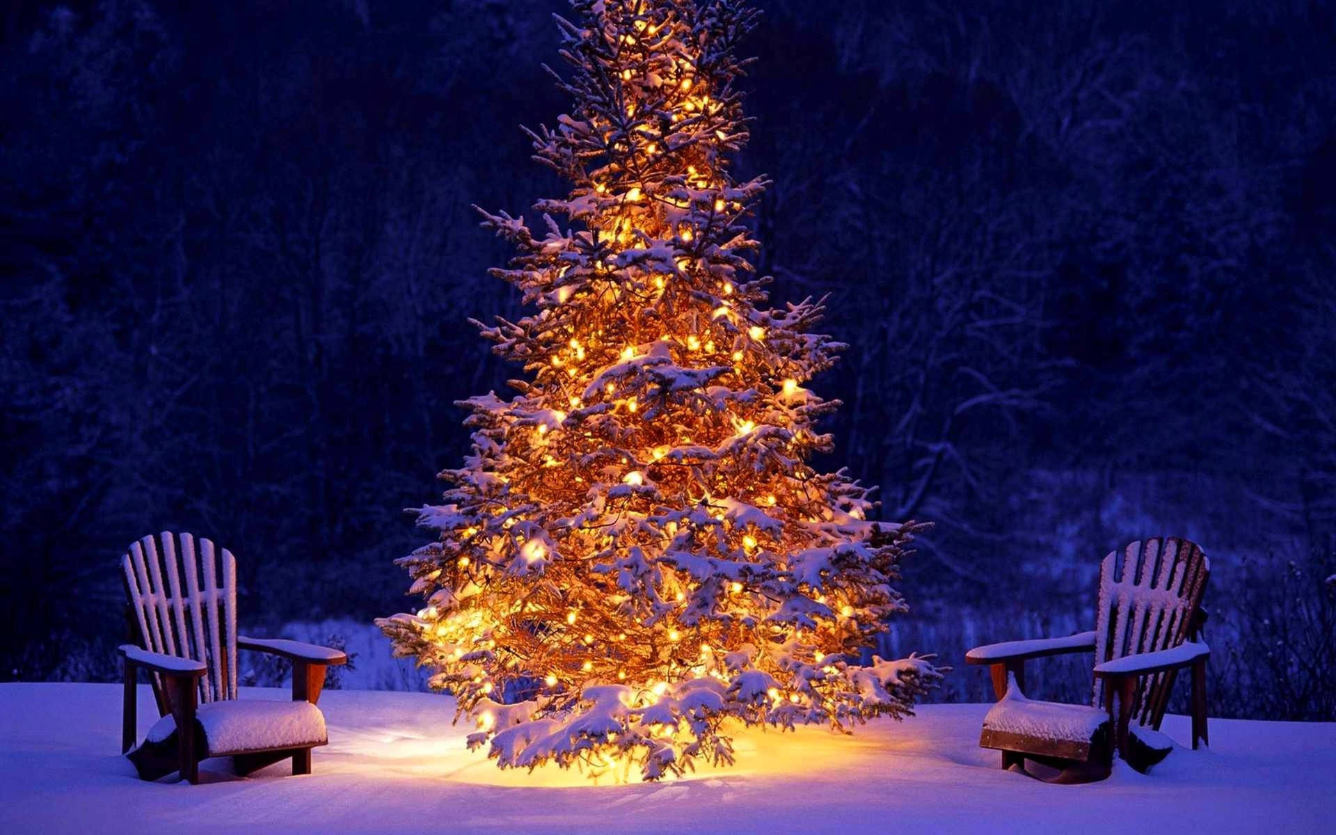 Festive Tree In Christmas Forest Background