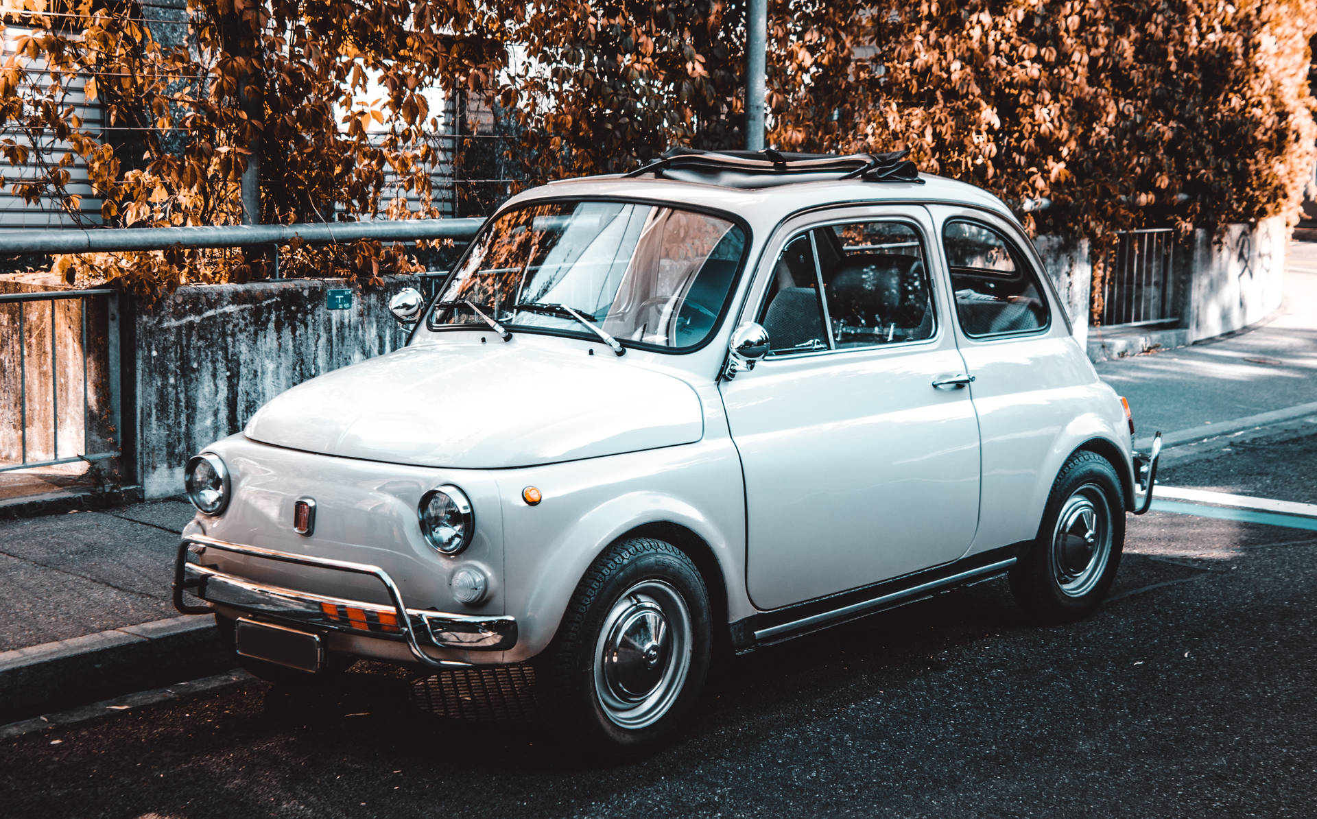 Fiat 500 Classic White Background