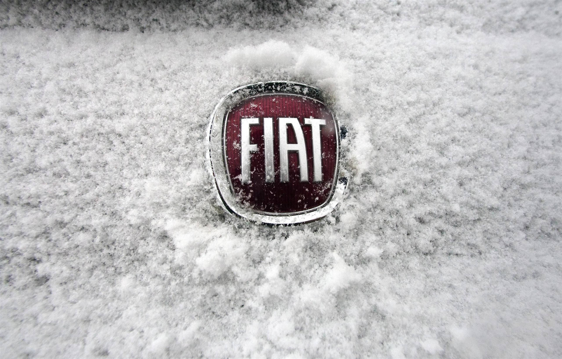 Fiat Car Logo Background